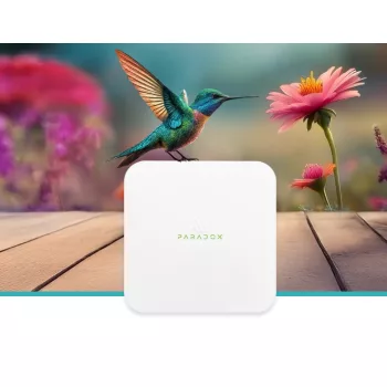 Paradox M